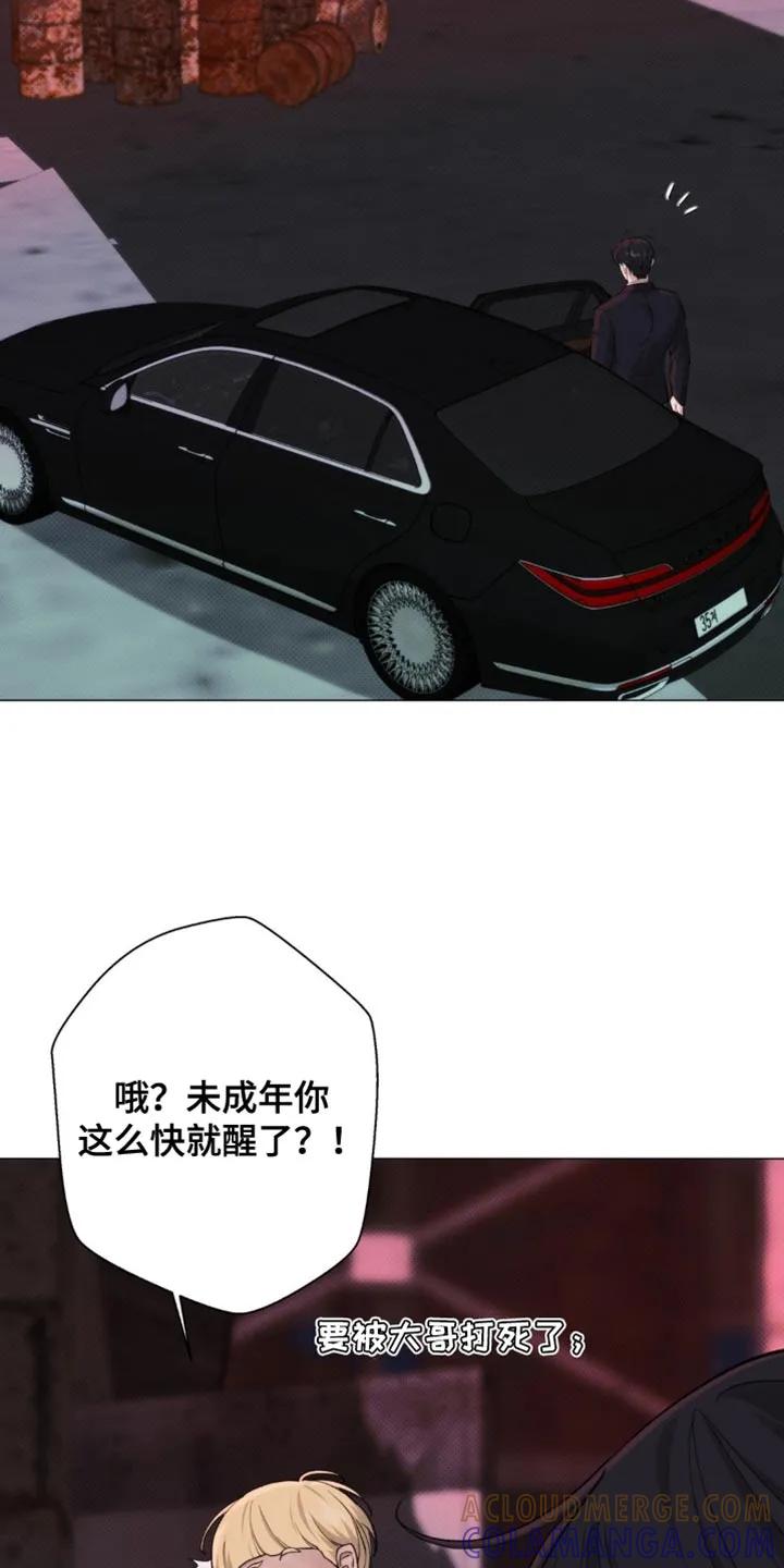 《海岛人生》第78章：【第二季】拿开你的脏手 第21页