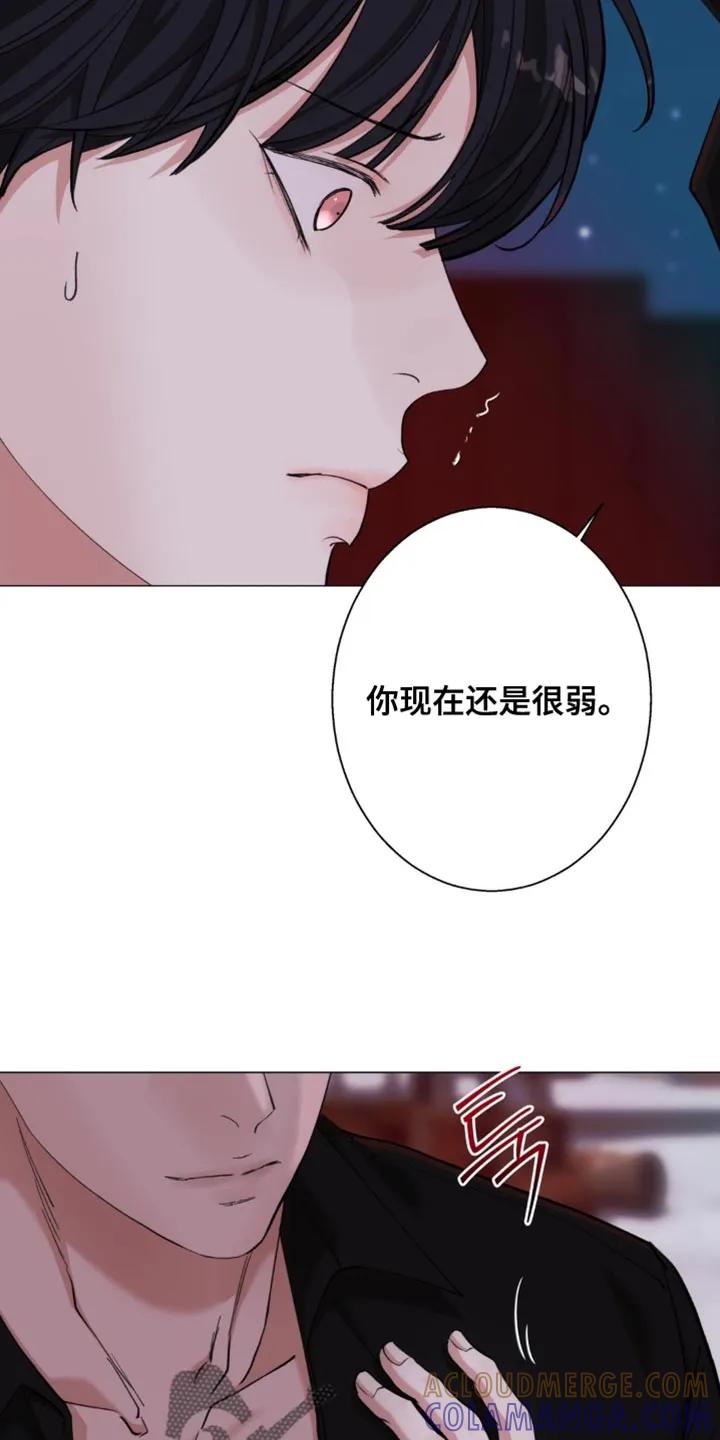《海岛人生》第79章：【第二季】你无法理解我 第15页
