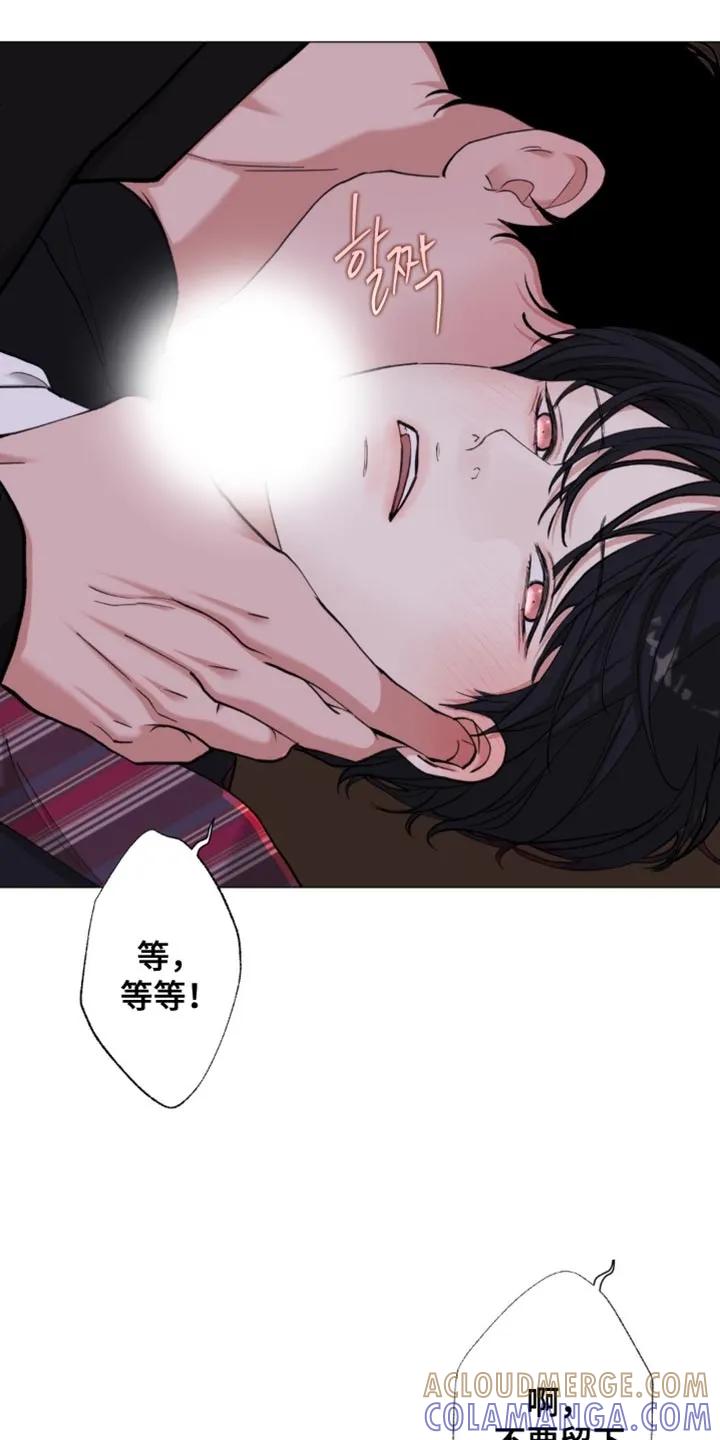 《海岛人生》第81章：【第二季】肮脏的东西 第11页