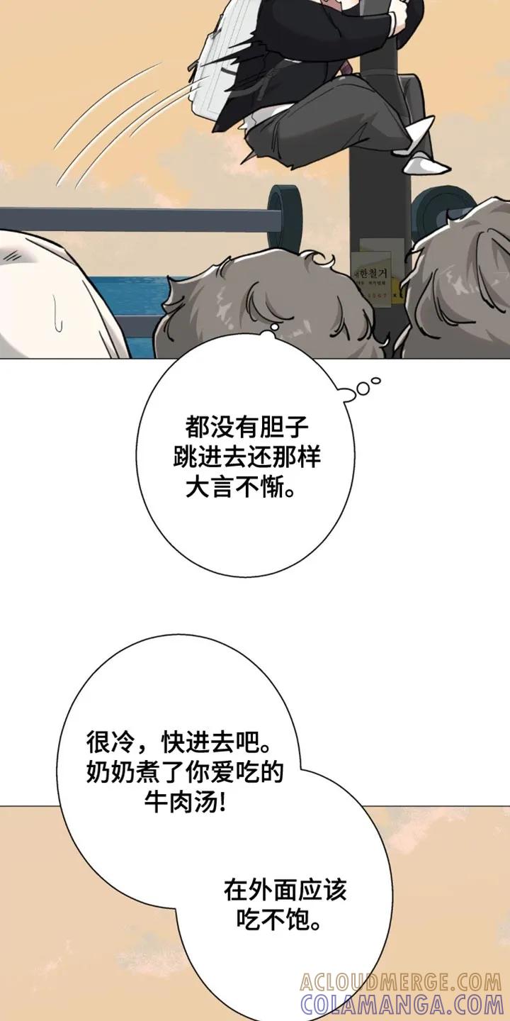 《海岛人生》第82章：【第二季】太宠爱他了 第13页