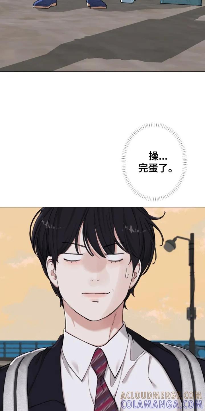 《海岛人生》第82章：【第二季】太宠爱他了 第3页