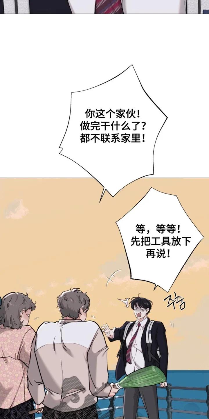 《海岛人生》第82章：【第二季】太宠爱他了 第4页