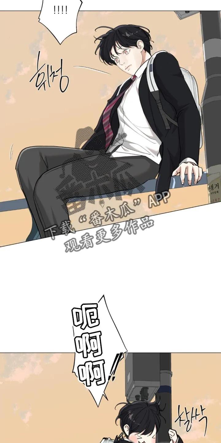 《海岛人生》第82章：【第二季】太宠爱他了 第12页