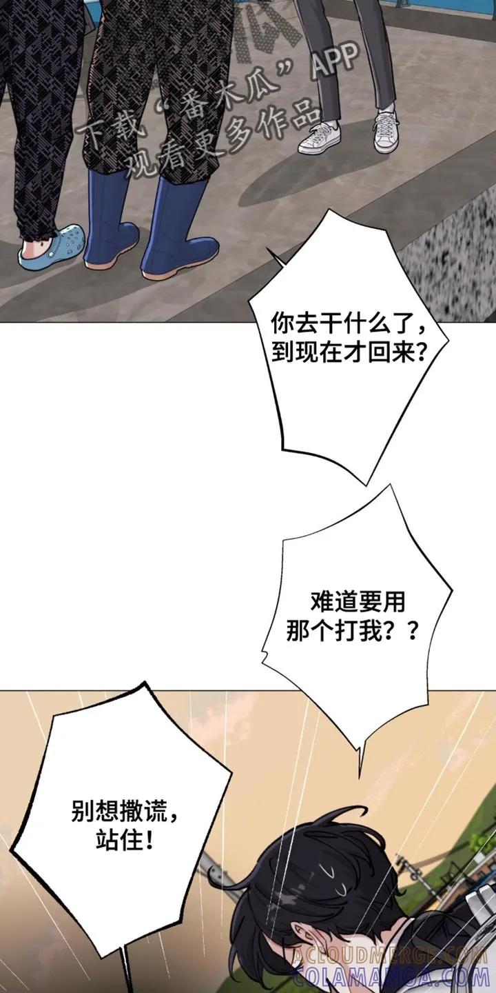 《海岛人生》第82章：【第二季】太宠爱他了 第5页