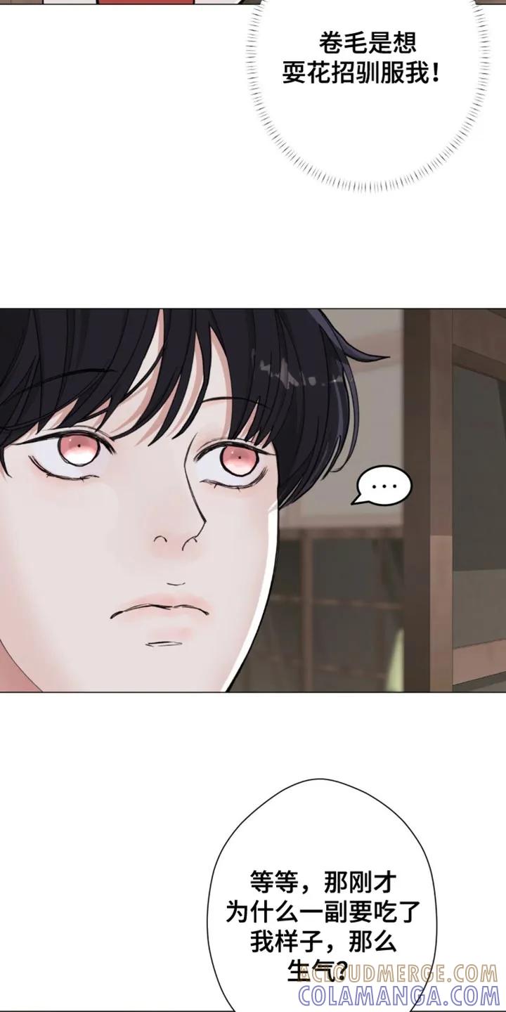 《海岛人生》第83章：【第二季】善变 第7页
