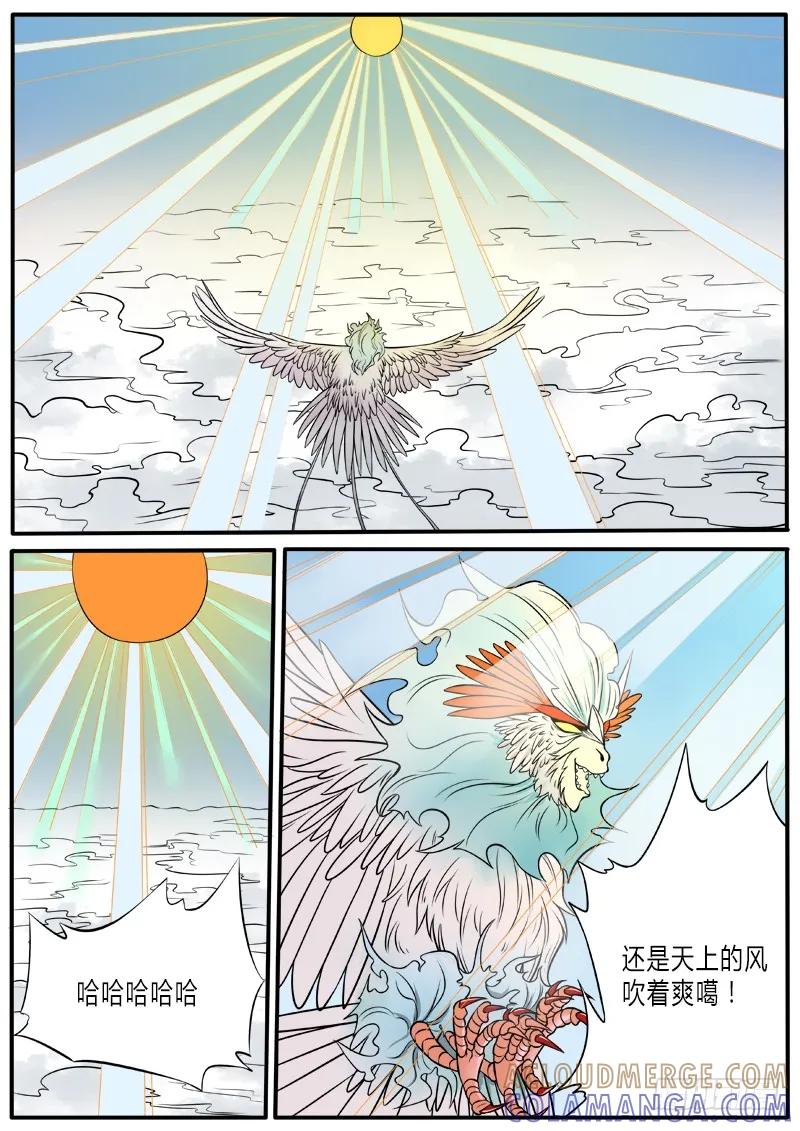《熊猫侠齐天》瞿入现身 第11页