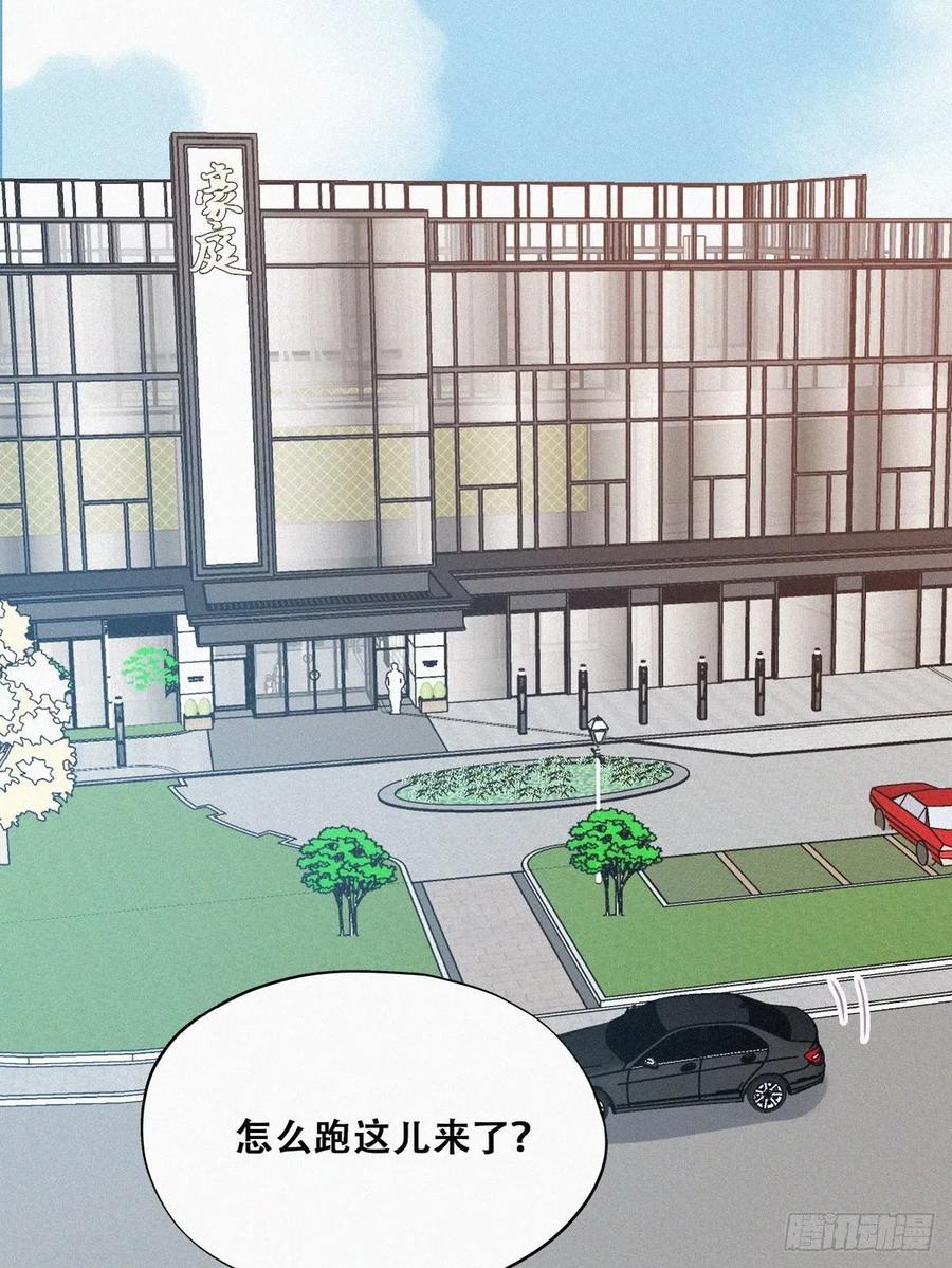 《傲娇奶爸休想逃》102 黑炭被偷袭 第29页