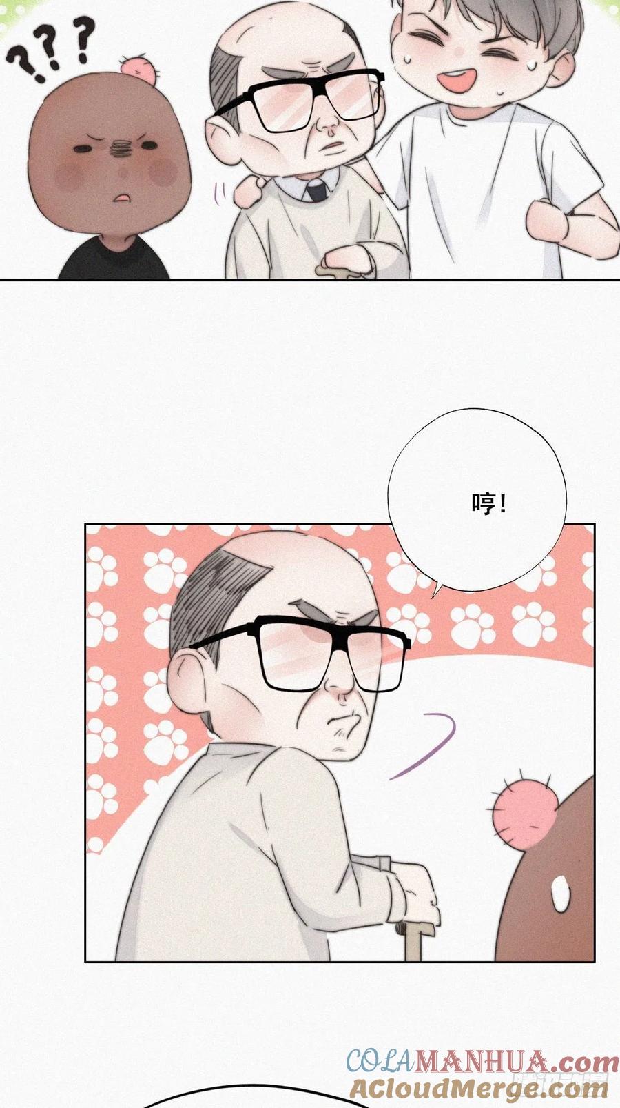 《傲娇奶爸休想逃》65 妈妈遗愿 第13页