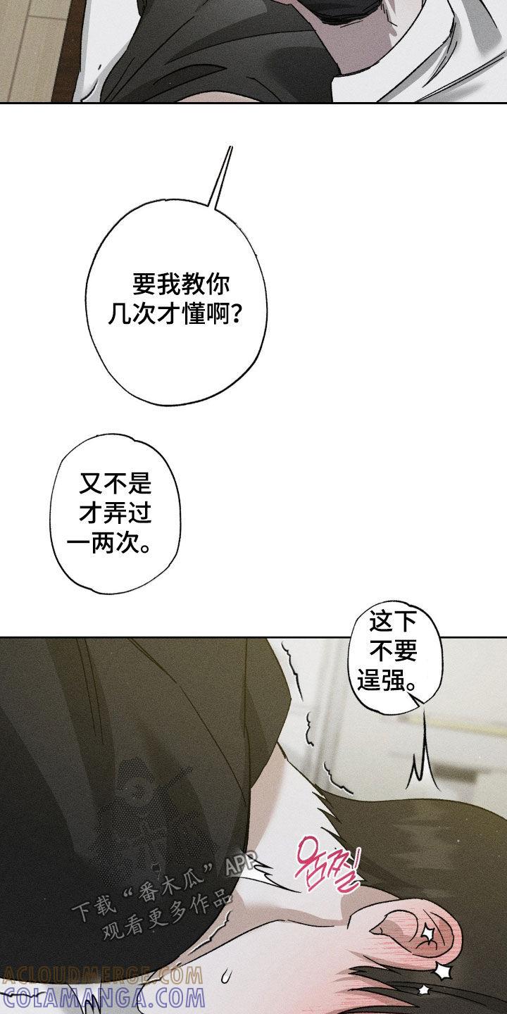 《特写爱意》第45章：别担心 第13页