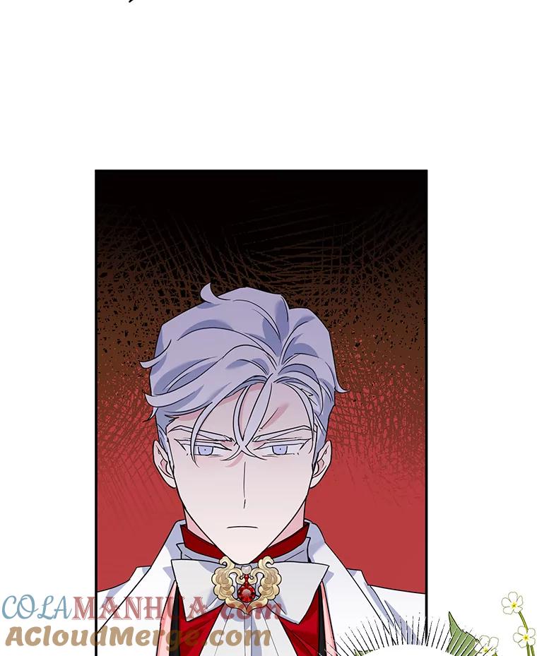 离婚后恶女专注烤蛋糕 - 25.艾琳小姐 - 第4张图