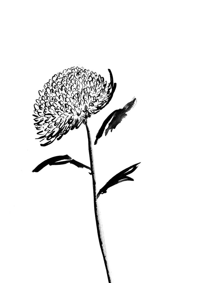 《啊，钱包忘了带》第1季 5-2 第38页