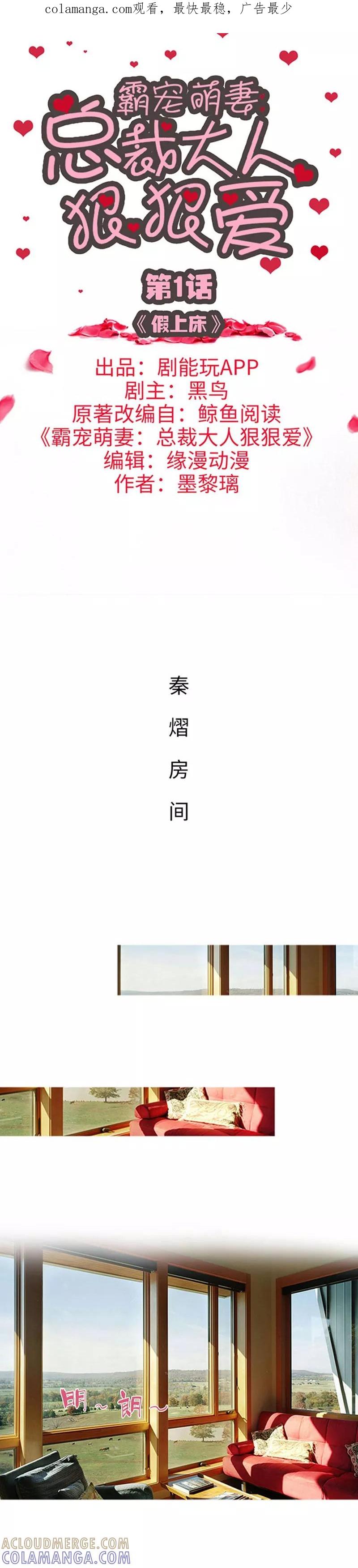 《霸宠萌妻：总裁大人狠狠爱》第1话 第1页