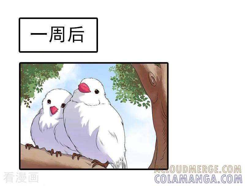 《霸道顾少，请温柔》第13话 我喜欢你！ 第19页
