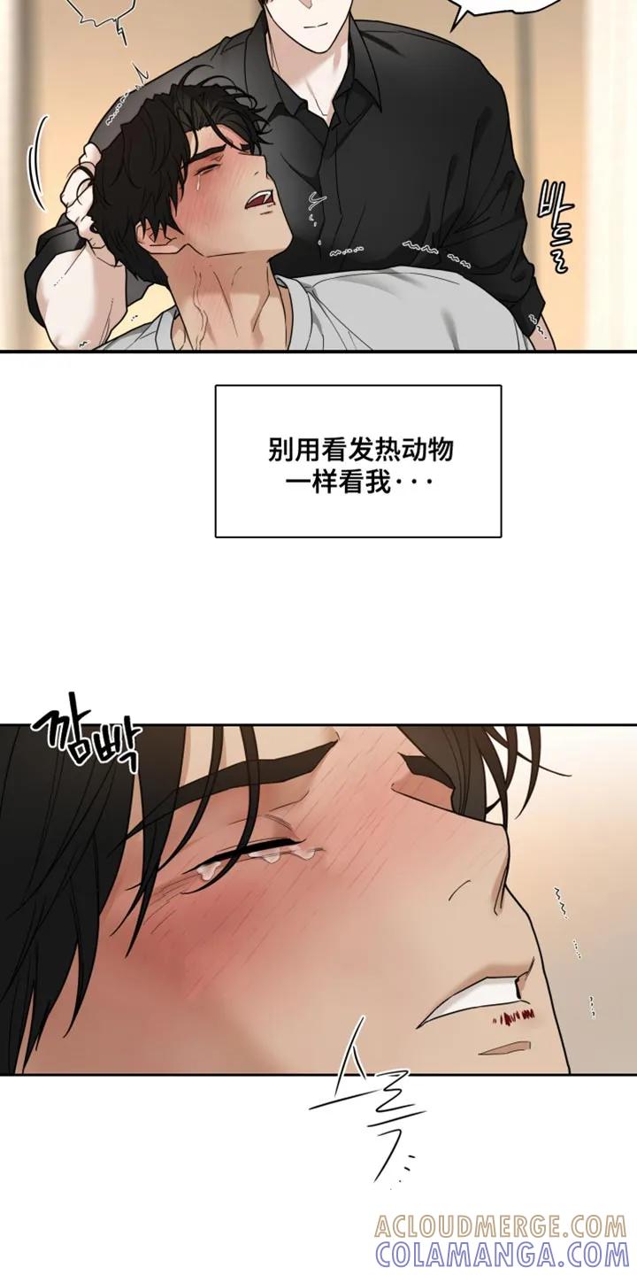 《错位的霸权》第29章：改变主意 第11页