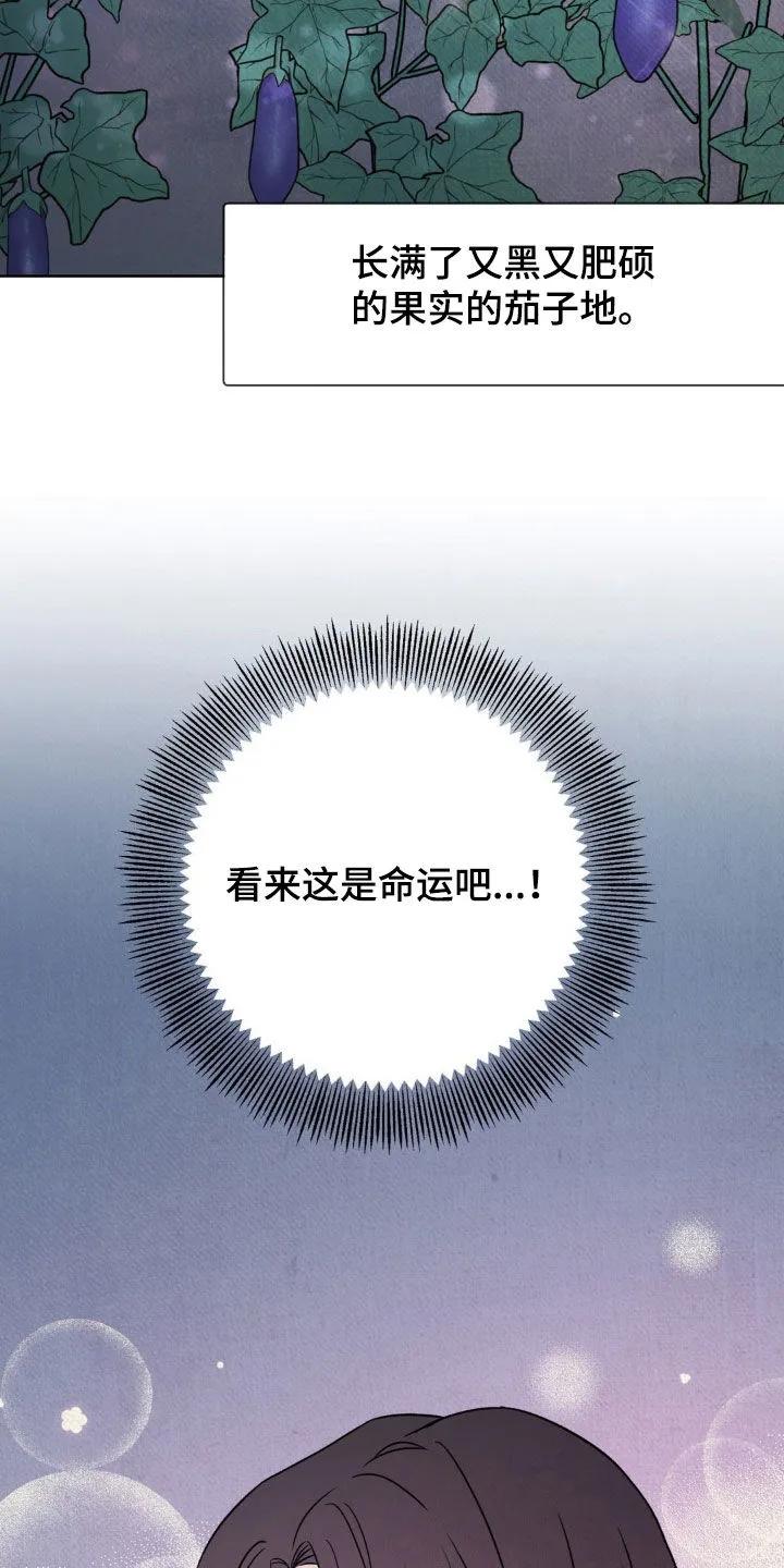 暗行御史 第34章：茄子地 第20页