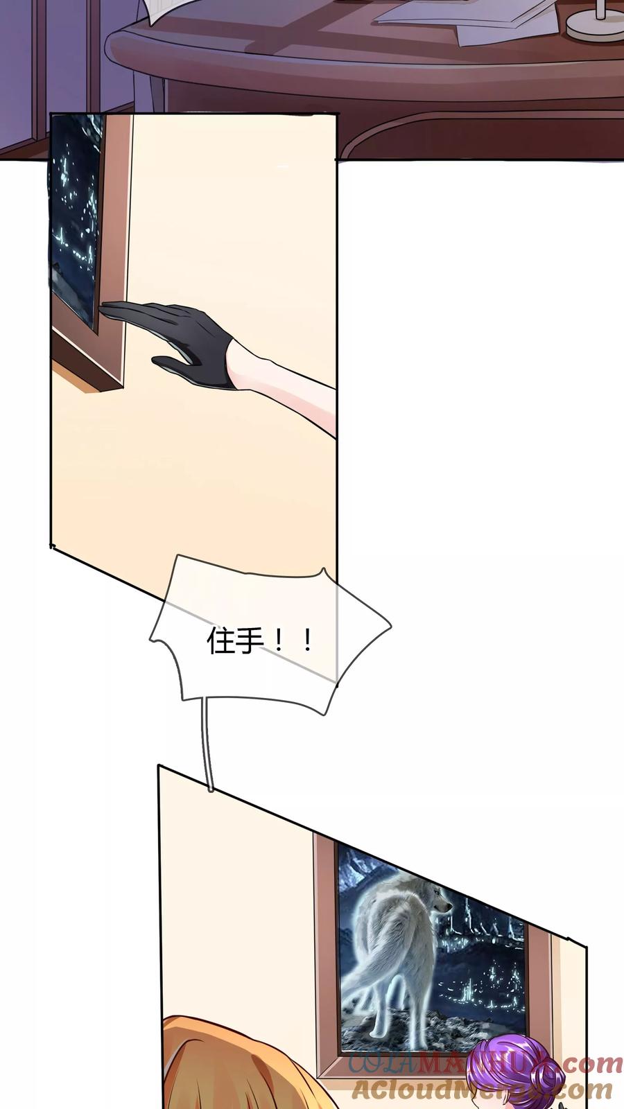 《霸道忠犬寻爱记》第56话 阴谋 第9页