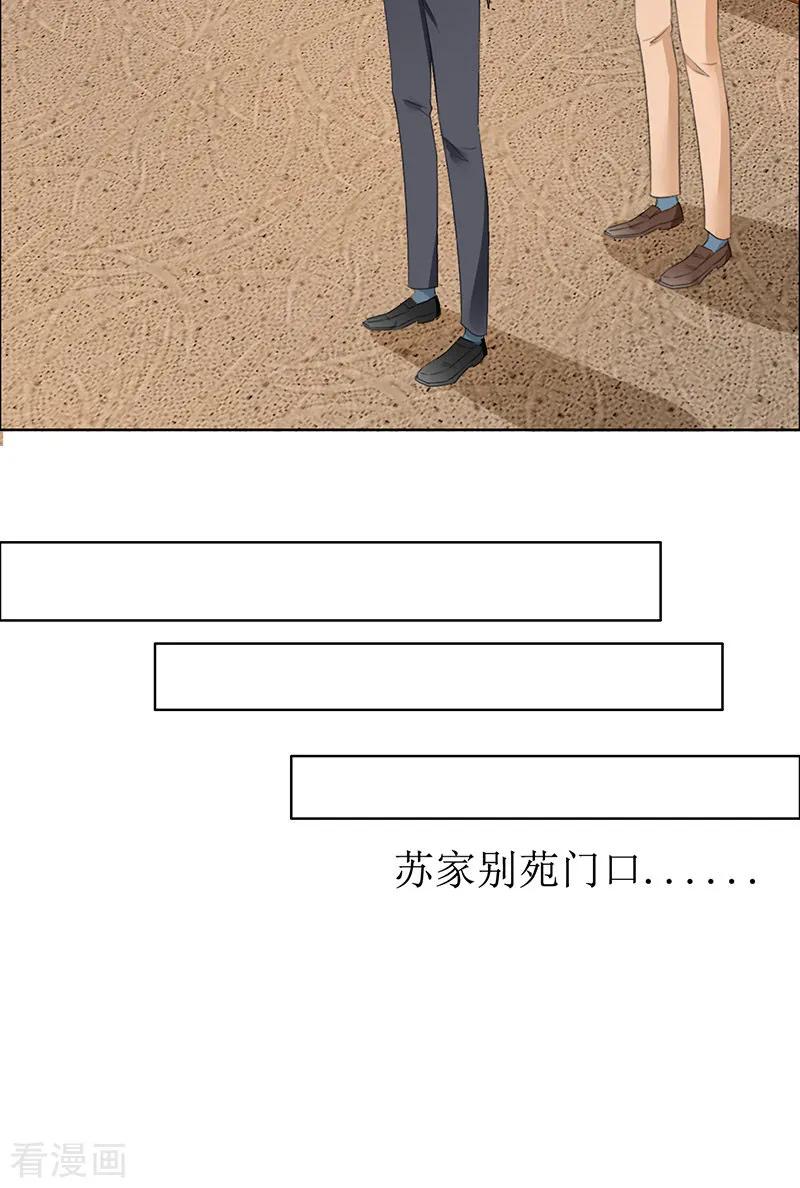 《霸道总裁的独宠爱人》第53话 成为苏氏股东 第20页