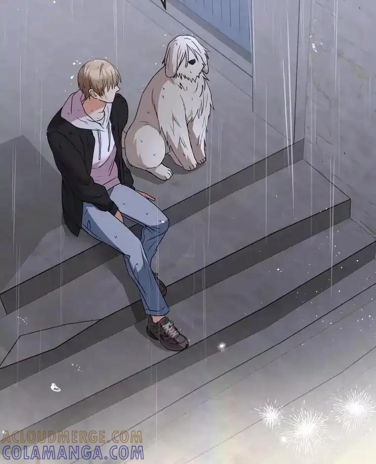 《你好？兽医先生！》59.我们回家吧 第117页