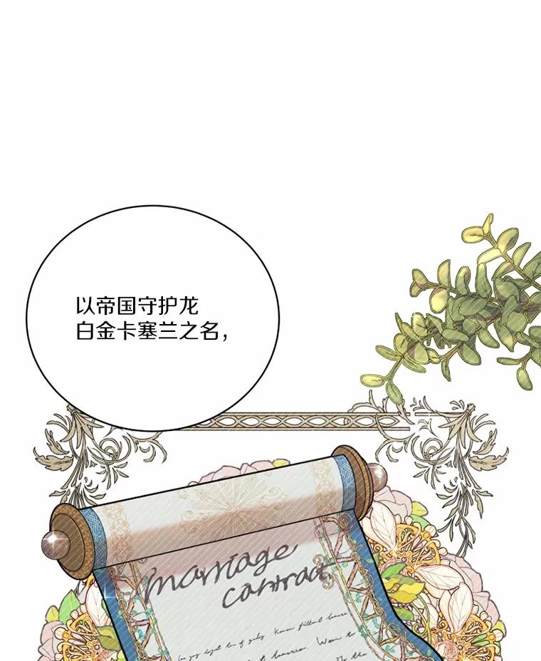 《白痴阿贝拉》0.婚约 第27页