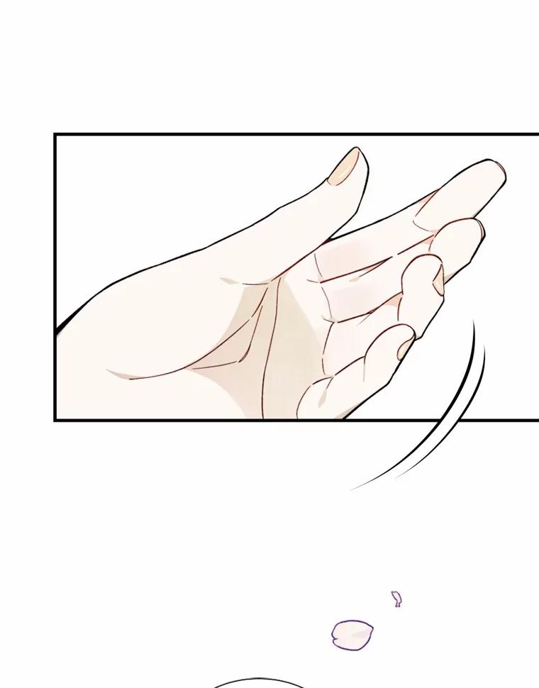 《白痴阿贝拉》0.婚约 第51页