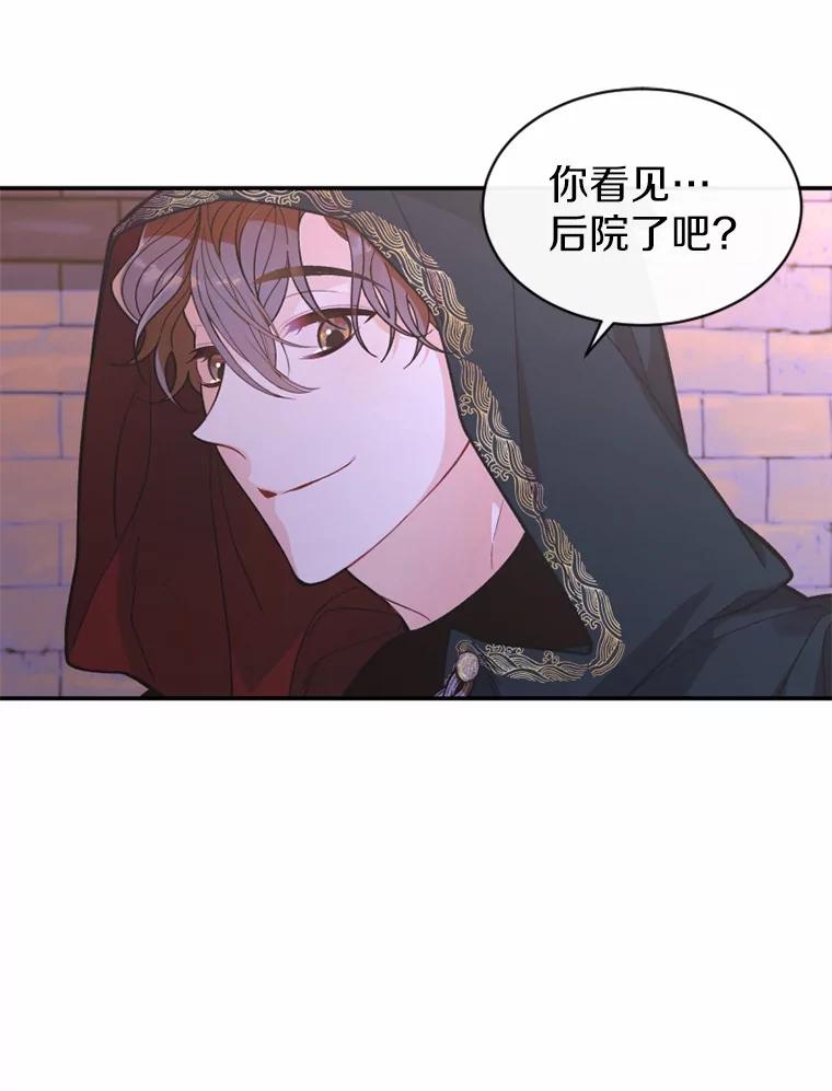 《白痴阿贝拉》11.过去 第104页