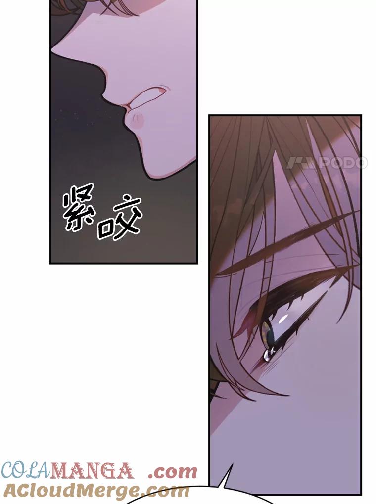 《白痴阿贝拉》11.过去 第85页