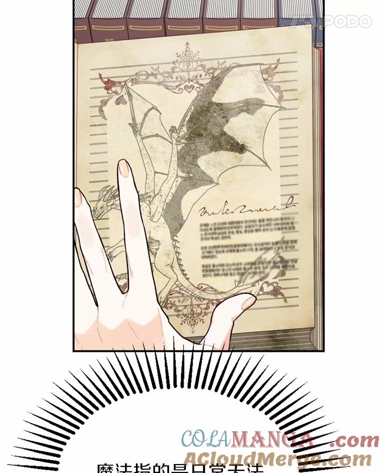 《白痴阿贝拉》13.魔法 第29页