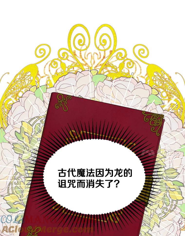 《白痴阿贝拉》13.魔法 第25页