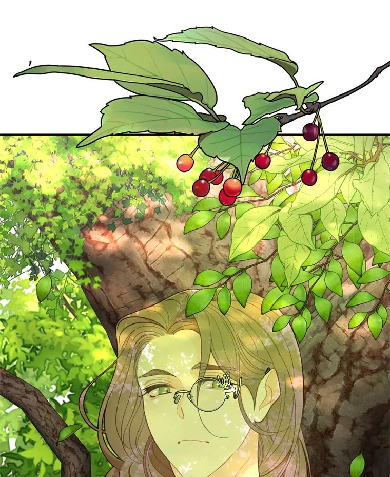 《白痴阿贝拉》15.奸细 第47页