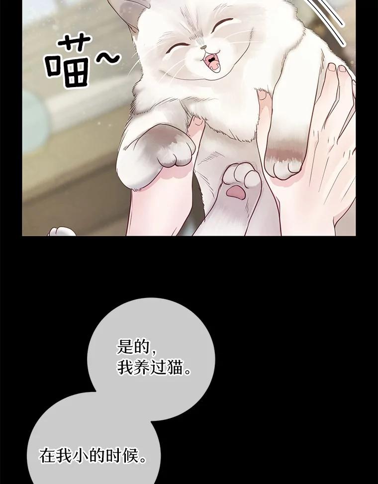 《奇怪的告白》19.志愿活动 第6页