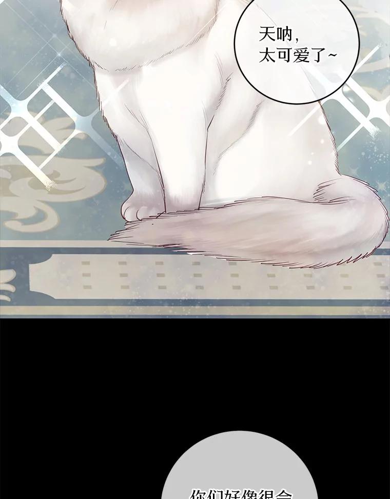 《奇怪的告白》19.志愿活动 第2页
