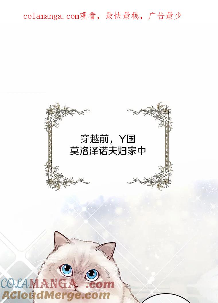 《奇怪的告白》19.志愿活动 第1页