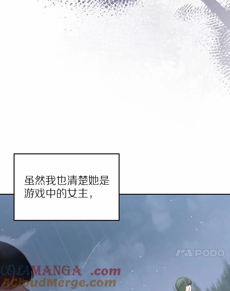 《抢走女主的初恋》27.“劣等公女” 第41页