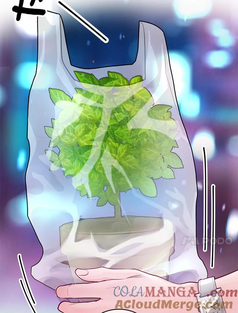 《奇怪的告白》27.敏慧的礼物 第13页