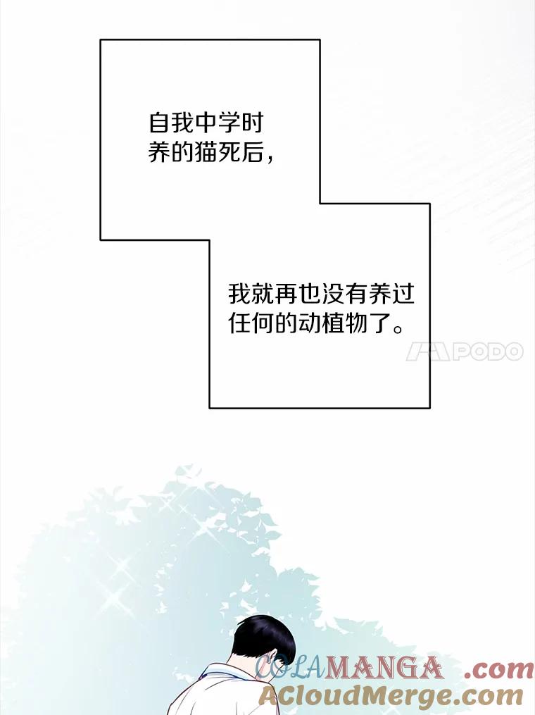 《奇怪的告白》27.敏慧的礼物 第97页
