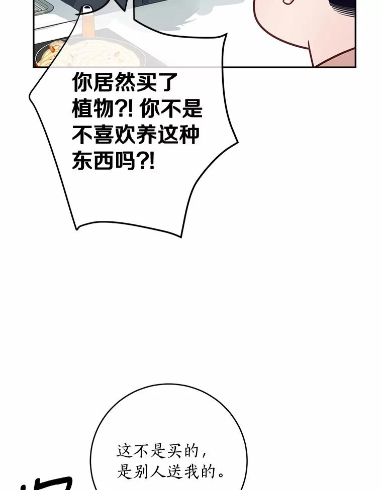 《奇怪的告白》27.敏慧的礼物 第42页