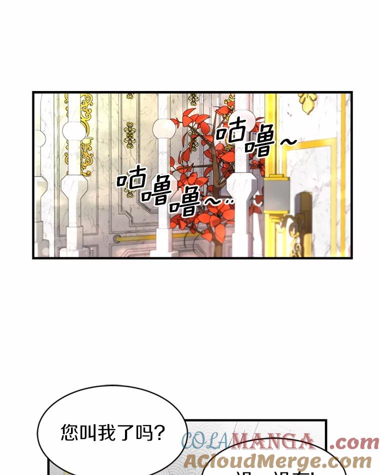 《白痴阿贝拉》3.恩人 第69页
