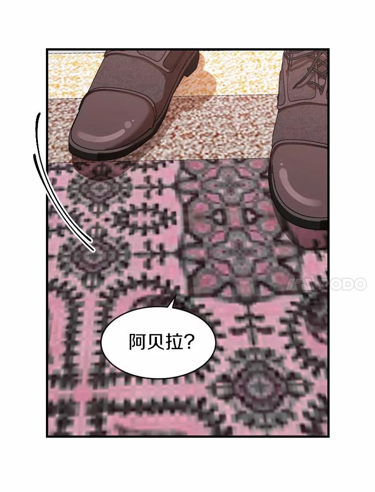 《白痴阿贝拉》5.身份 第8页