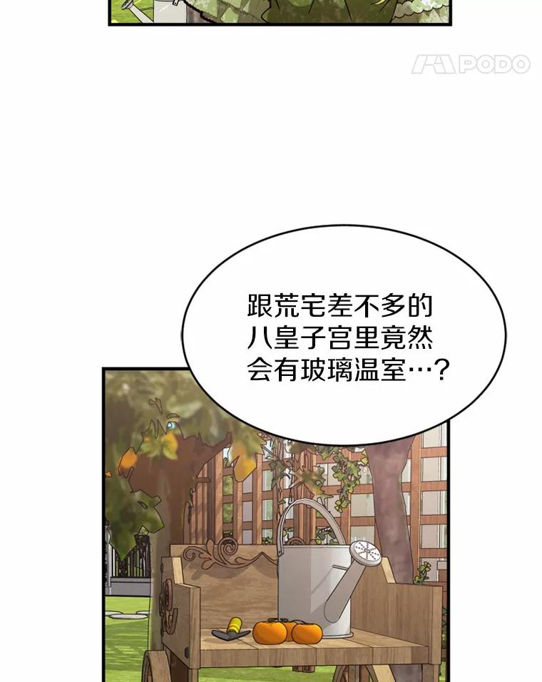 《白痴阿贝拉》6.温室 第35页