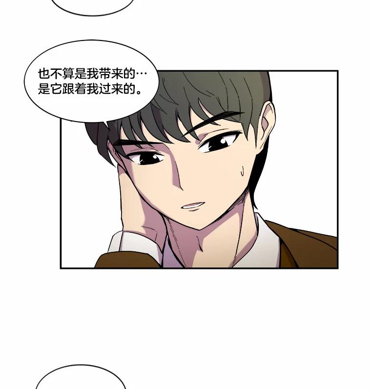 《STRESSER》9.帅哥新人 第44页