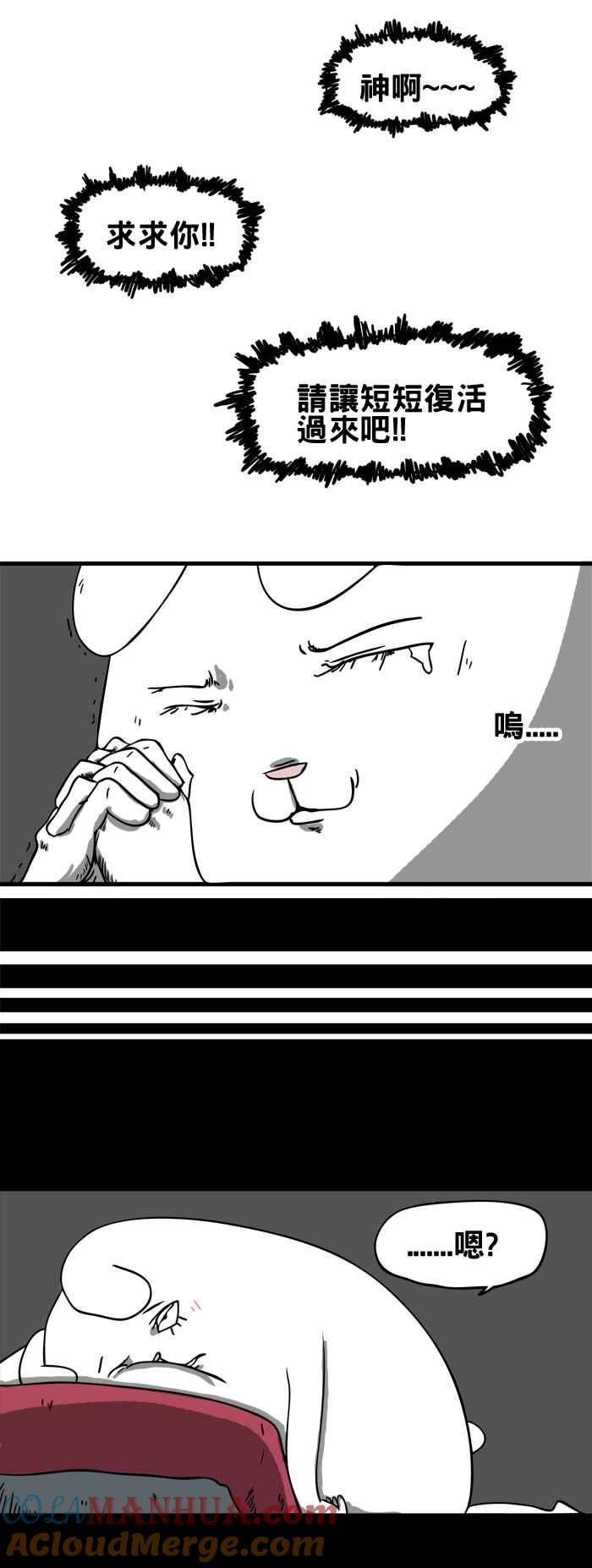 百鬼夜行志・一夜怪谈之卷 [第38话] 犬魂 第4页
