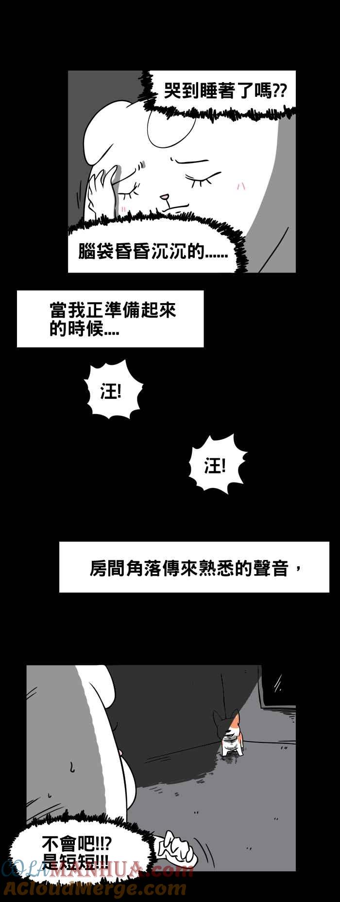 百鬼夜行志・一夜怪谈之卷 [第38话] 犬魂 第5页
