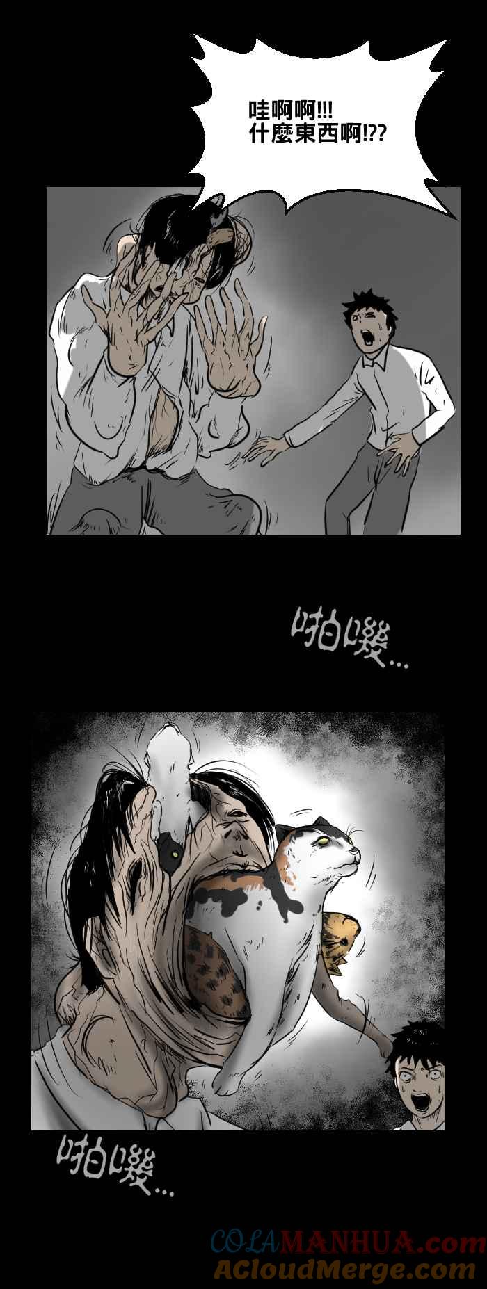 百鬼夜行志・一夜怪谈之卷 - [第402话] 化猫 - 第10张图