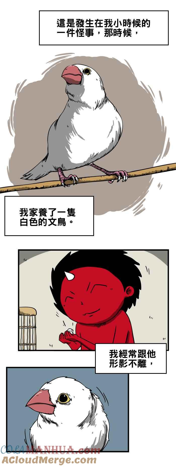 百鬼夜行志・一夜怪谈之卷 - [第44话] 文鸟 - 第2张图