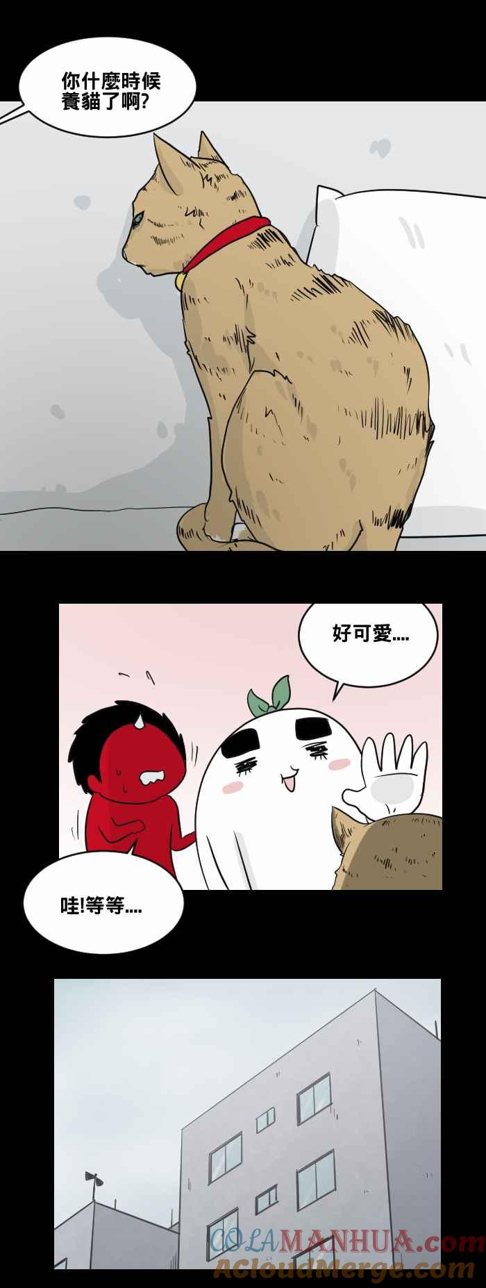 百鬼夜行志・一夜怪谈之卷 - [第461话] 猫妖(一) - 第5张图