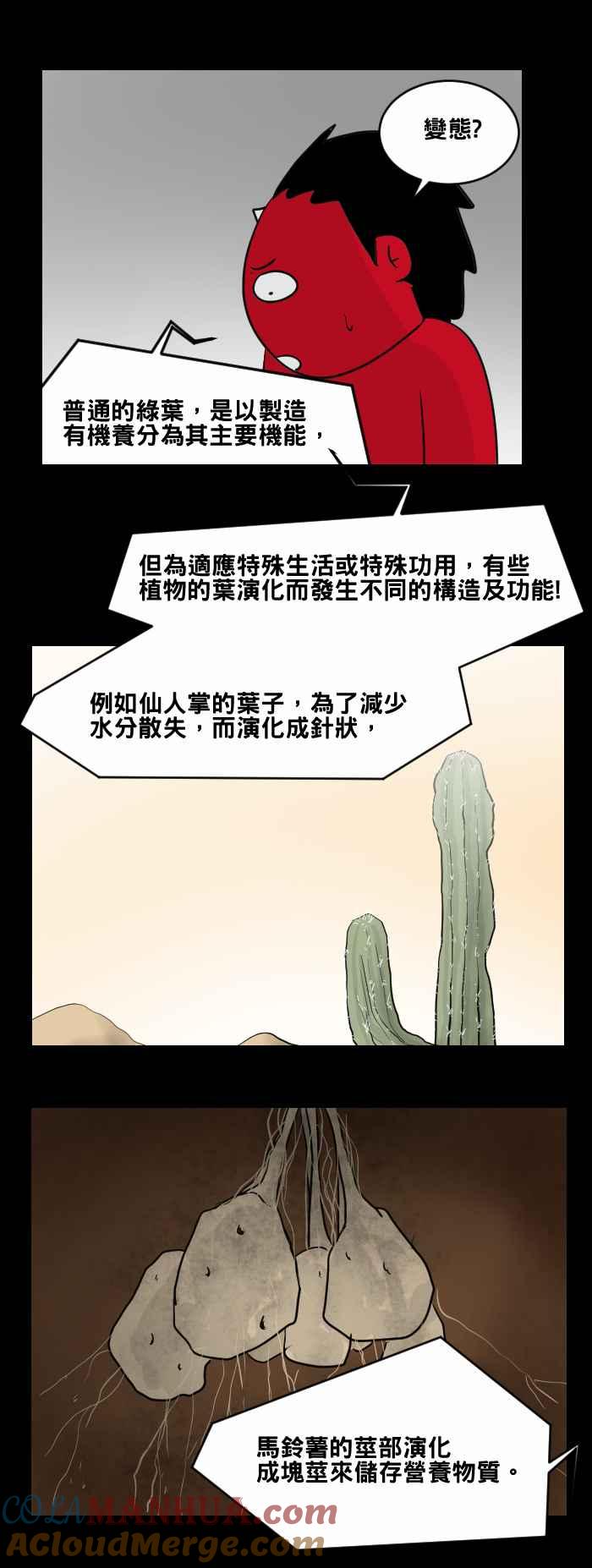 百鬼夜行志・一夜怪谈之卷 - [第466话] 维纳斯(一) - 第15张图