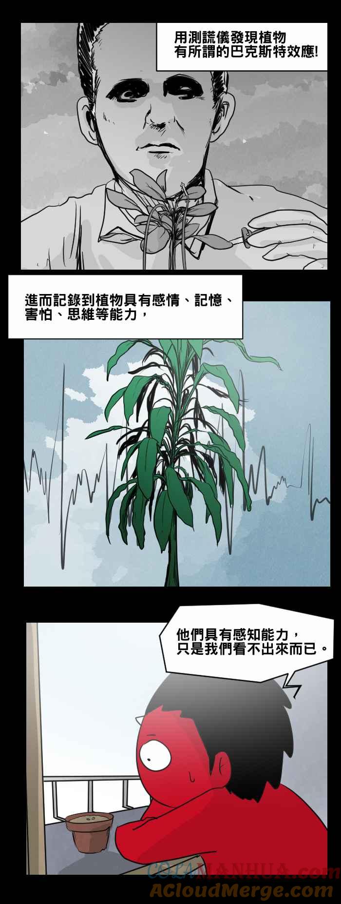 百鬼夜行志・一夜怪谈之卷 - [第467话] 维纳斯(二) - 第5张图