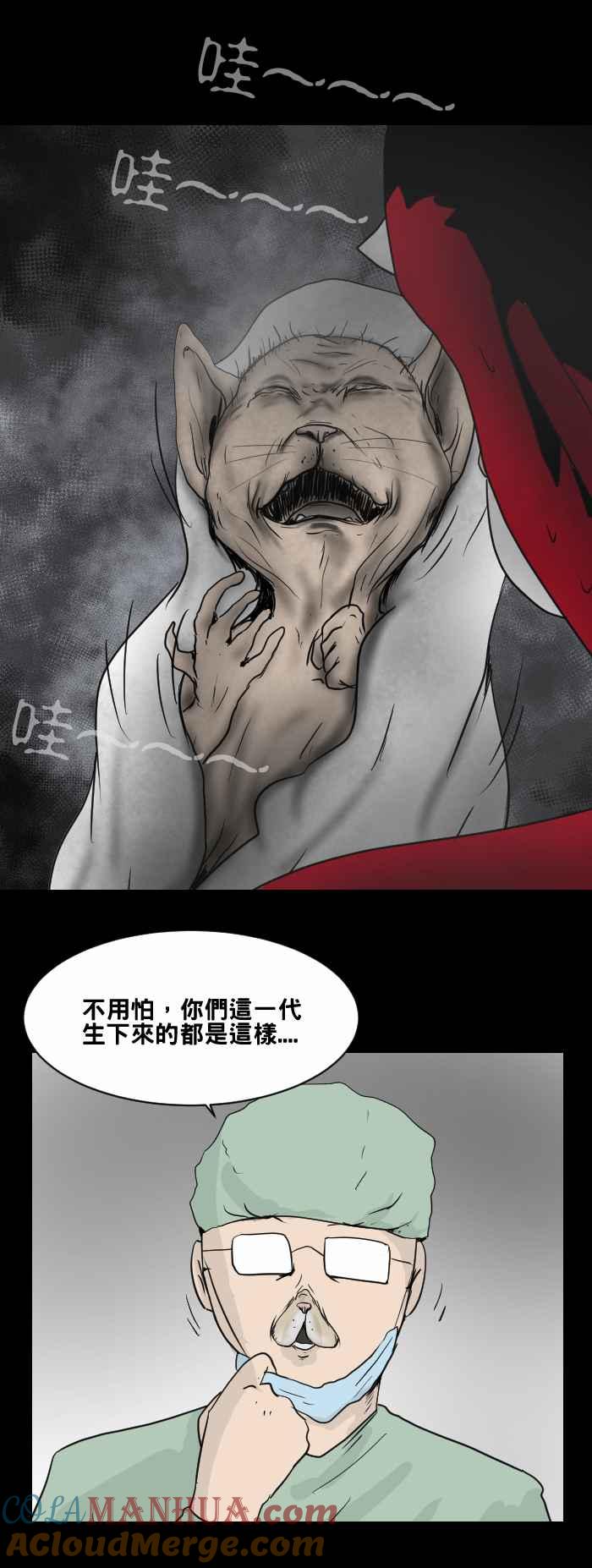 百鬼夜行志・一夜怪谈之卷 - [第470话] 猫咪中毒者(二) - 第15张图