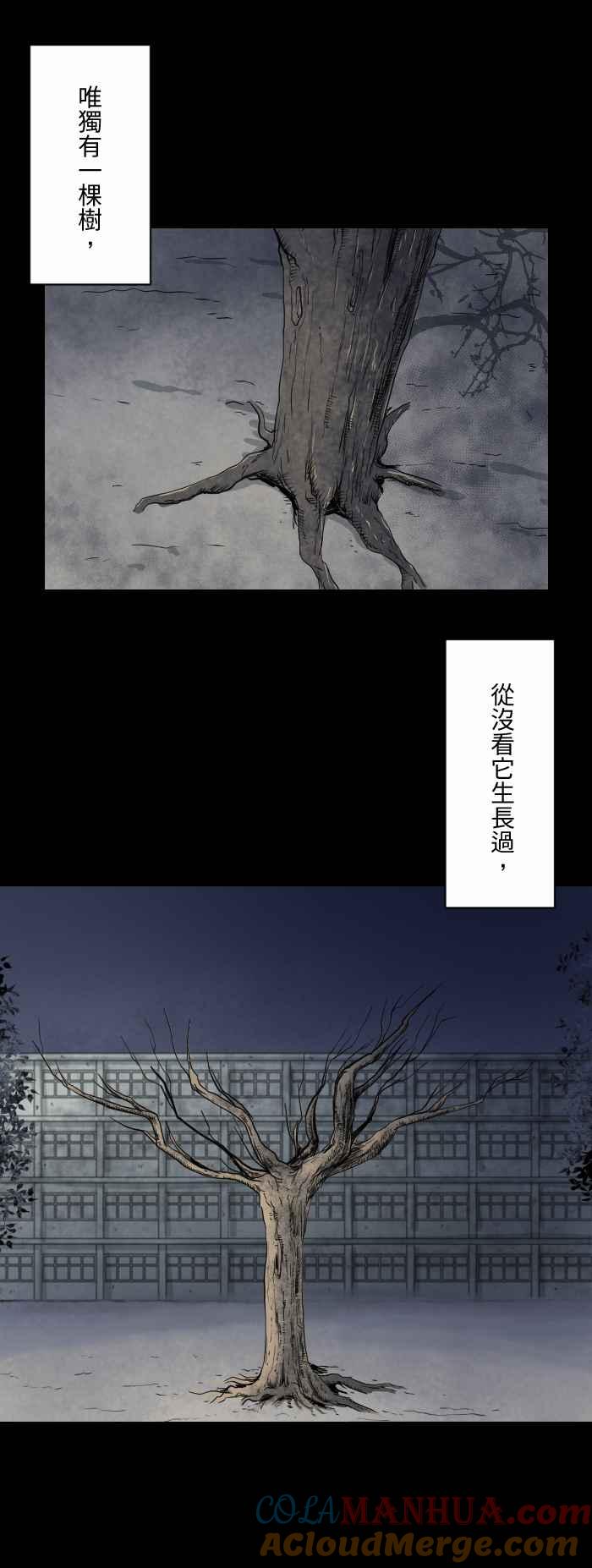 百鬼夜行志・一夜怪谈之卷 - [第592话] 枯树 - 第3张图