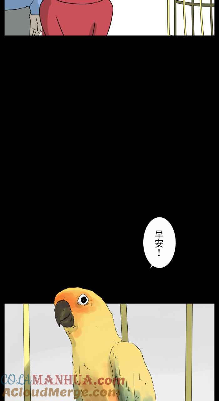 百鬼夜行志・一夜怪谈之卷 - [第668话] 鹦鹉 - 第2张图